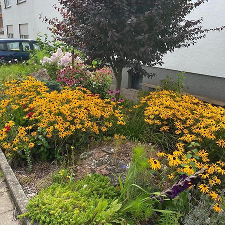 Ferienwohnung Fewo Weinland Zweibrücken Exterior foto